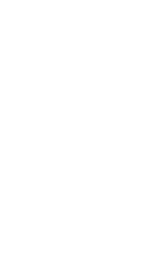 Princess V50