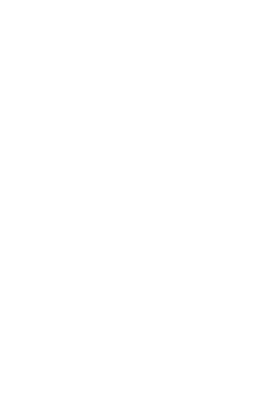 Princess Y85