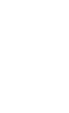 Princess Y95