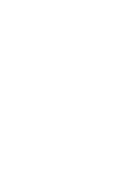 Princess F55
