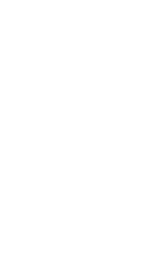Princess S62