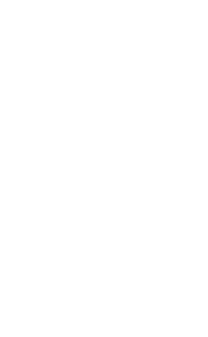 Princess X95