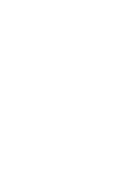 Princess V65